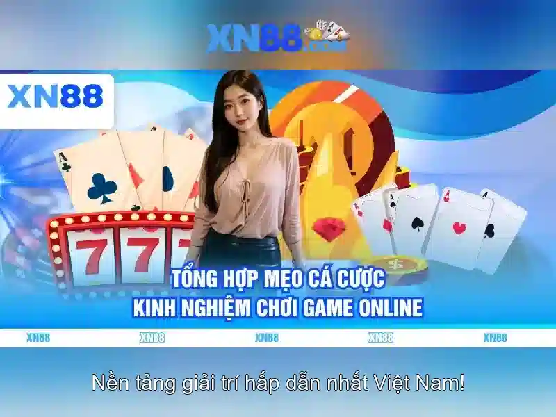 Khuyến mại và hỗ trợ khách hàng