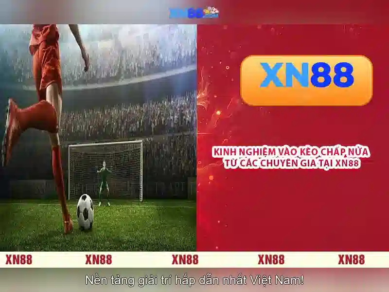 Giới thiệu xn88