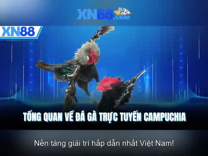 Xn88 là gì và những điều cần biết