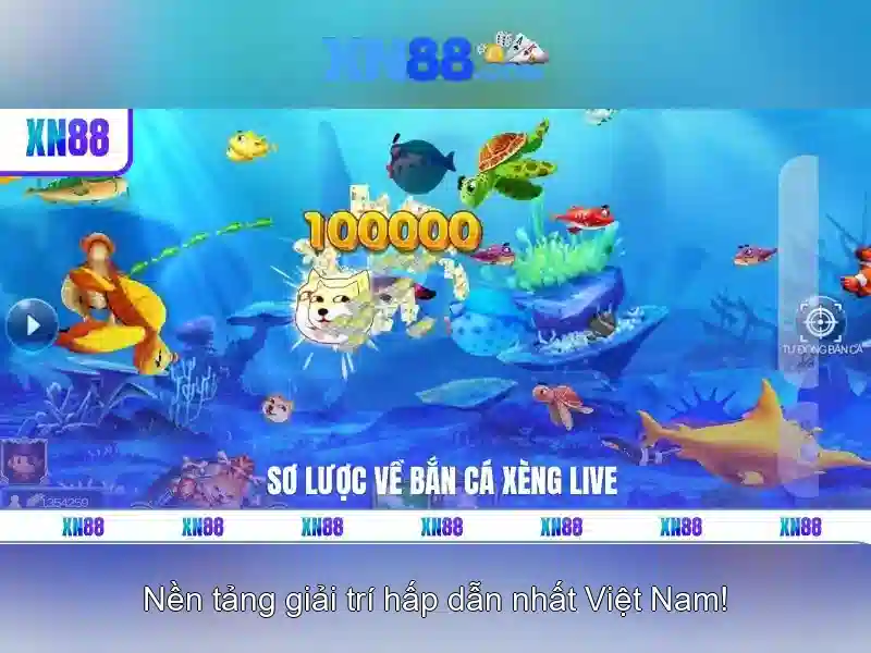 Giới thiệu về xn88