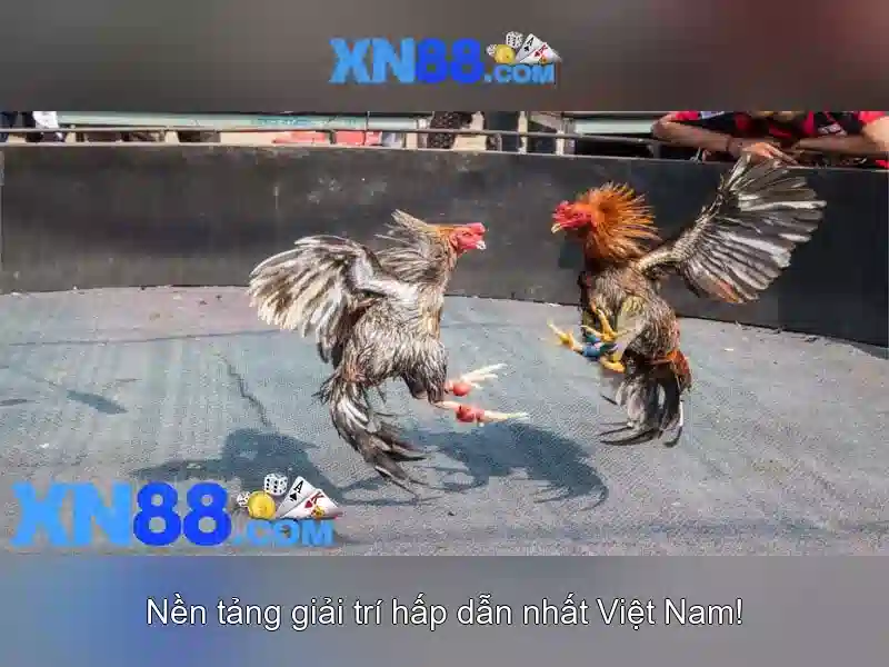 An toàn và bảo vệ người dùng