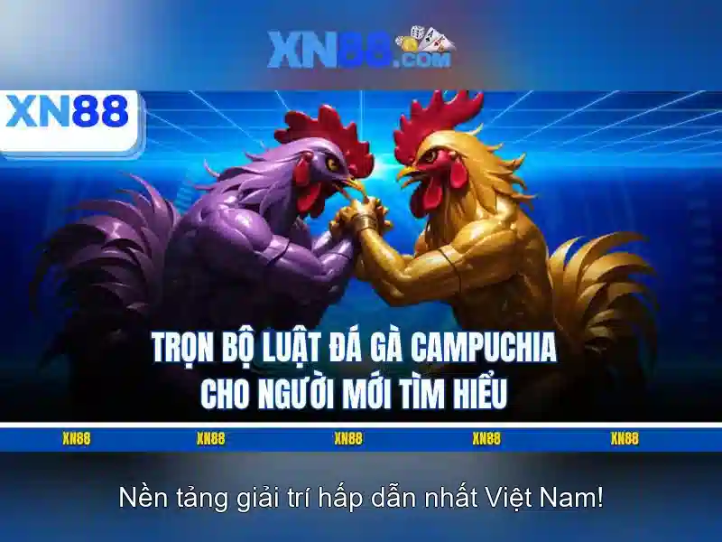 Giới thiệu xn88