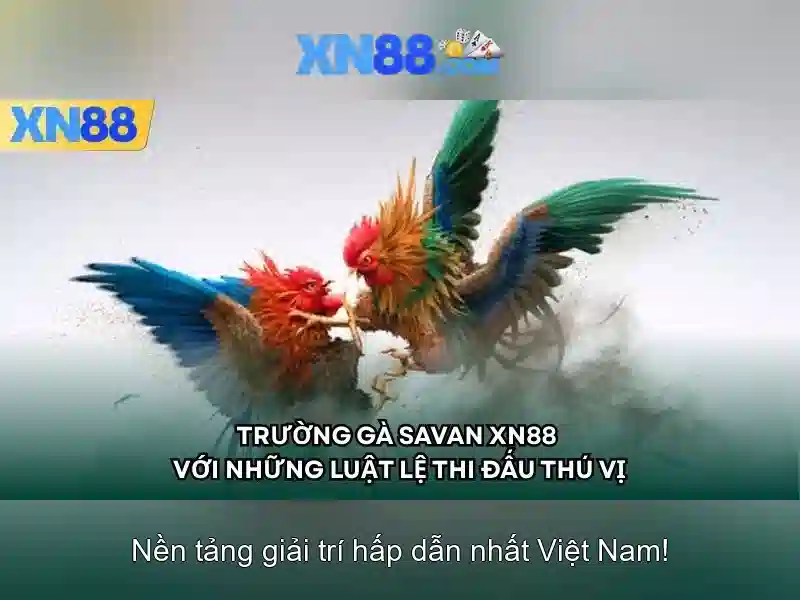 Tính năng nổi bật của xn88