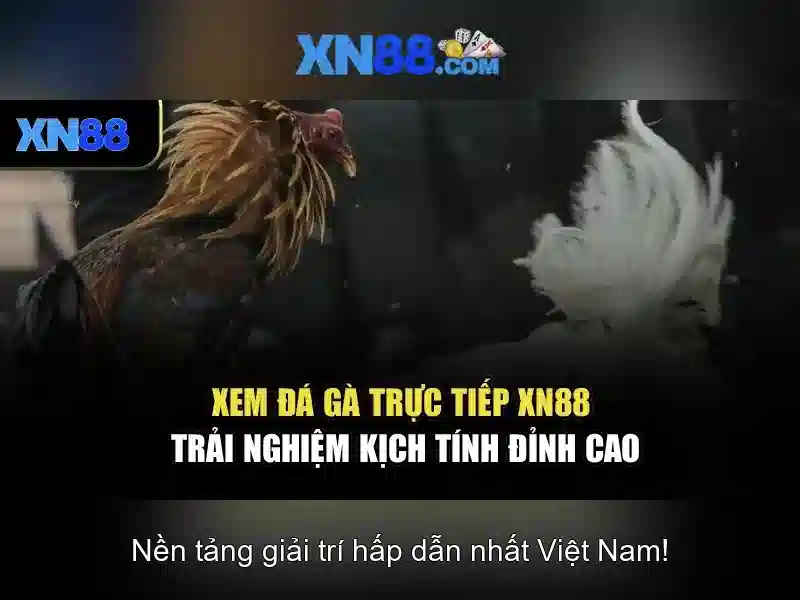Giới thiệu về xn88