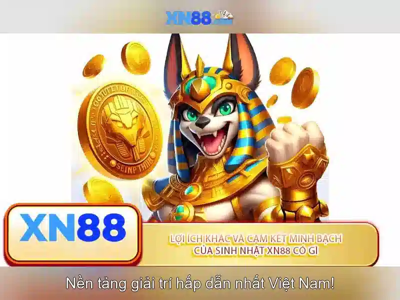 Giới thiệu về xn88
