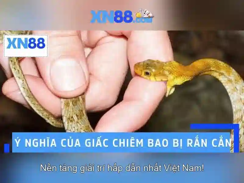 Các sản phẩm và dịch vụ tại xn88