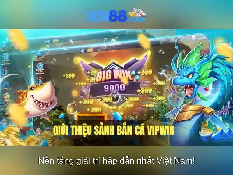 xn88: Nền tảng giải trí và đặt cược trực tuyến
