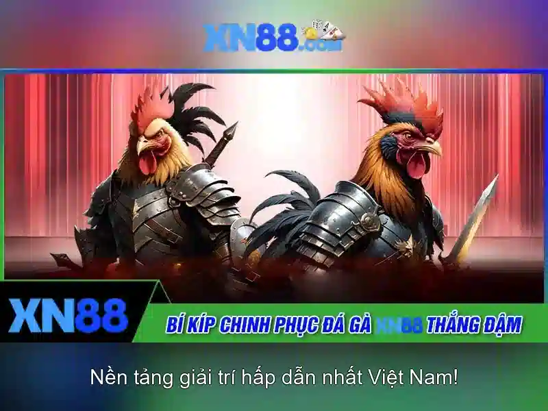 XN88: Nền tảng giải trí và đặt cược trực tuyến an toàn
