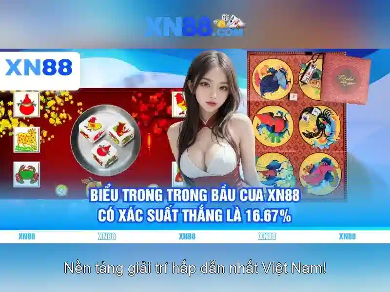 Lời khuyên và kết luận