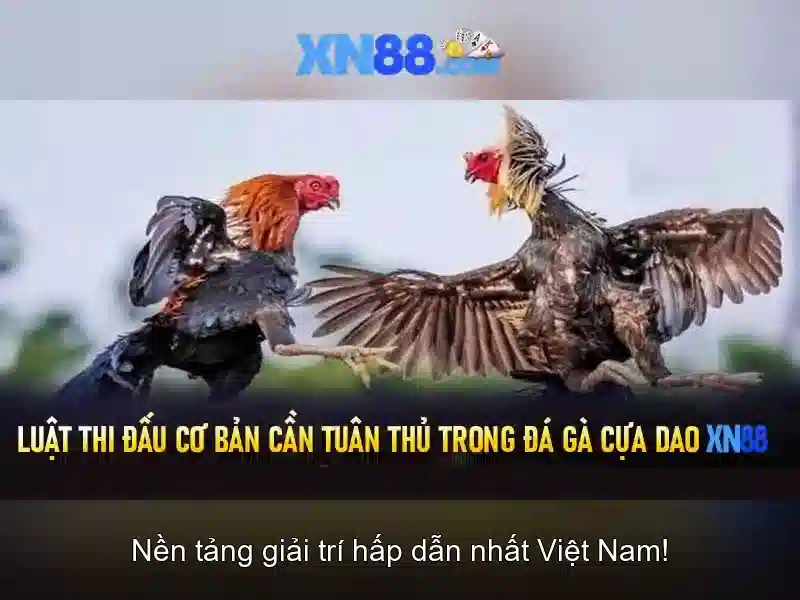 XN88: Nền tảng trò chơi trực tuyến và những điều bạn cần biết