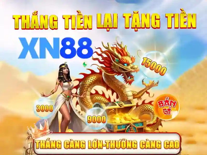 Trải nghiệm người dùng và Phản hồi từ cộng đồng