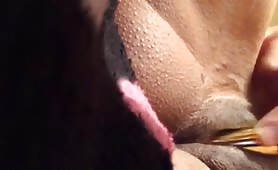 Sexy Indian masturbating in close up